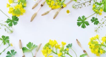 定休日のお知らせ（3月）