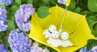 定休日のお知らせ（6月）